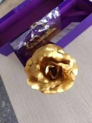 七夕節(jié)，約會(huì)必備利器，24K金玫瑰