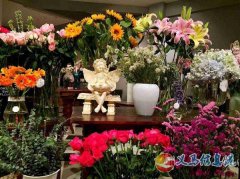 高考樂理、視唱練耳、聲樂小三門、青少年（少兒）聲樂、中老年人