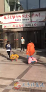 高薪招聘業(yè)務(wù)員