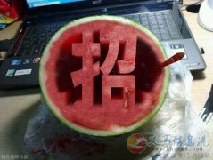 VJT護(hù)膚品免費(fèi)領(lǐng)取試用裝，招代理