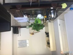招募業(yè)務精英 義馬澠池工作 底薪加提成加補助