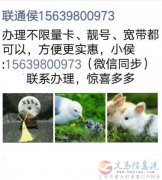 聯(lián)通寬帶、手機卡-侯